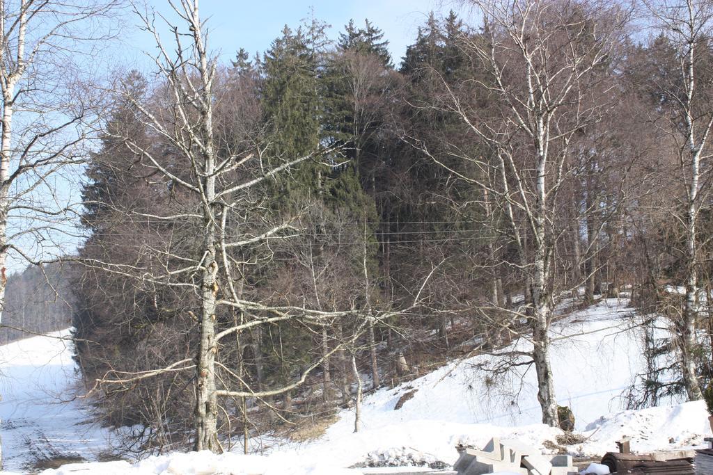 Ferienwohnungen Neukirchen Neukirchen am Teisenberg Bagian luar foto