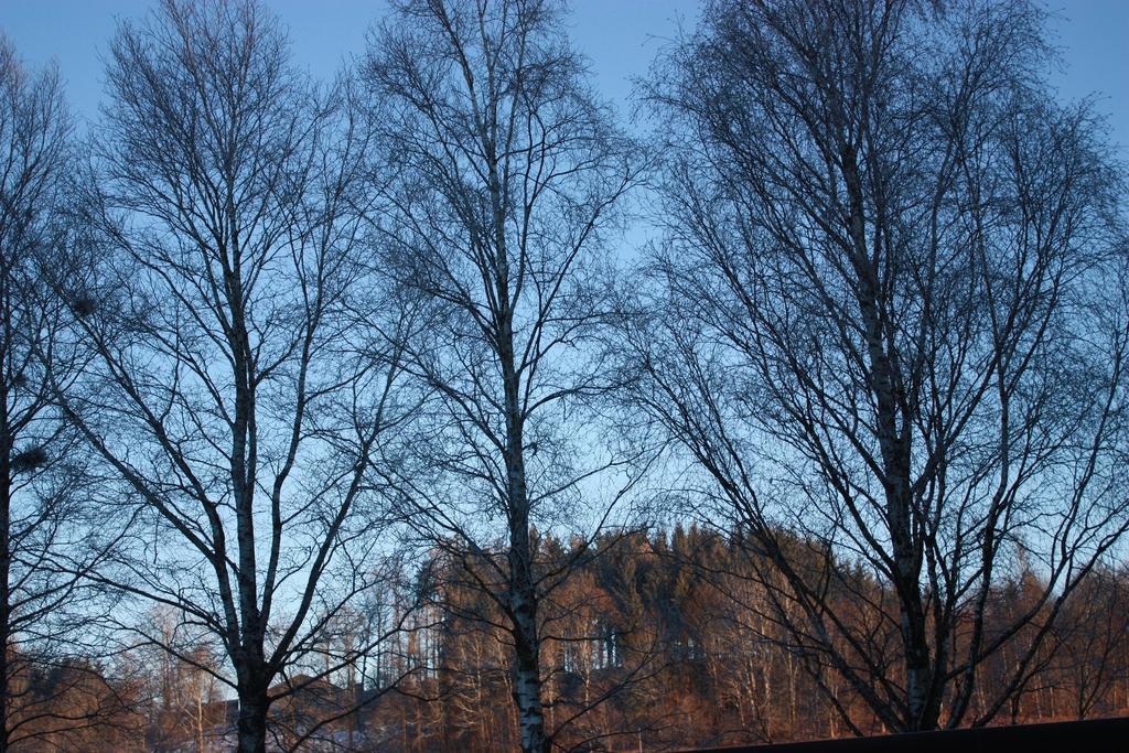 Ferienwohnungen Neukirchen Neukirchen am Teisenberg Bagian luar foto